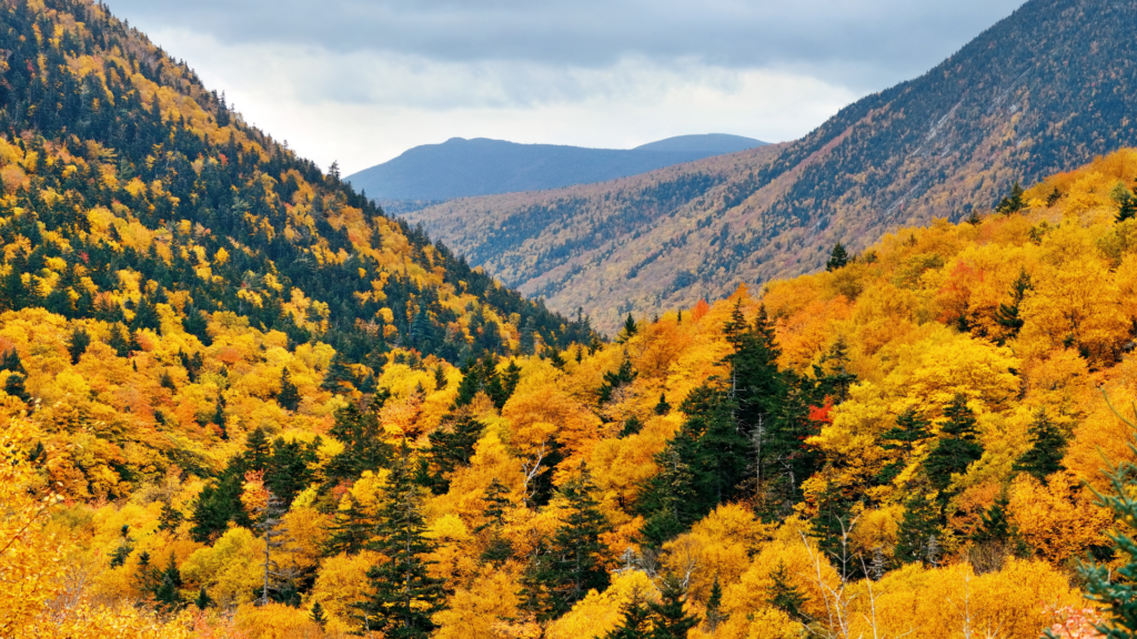 White Mountains, NH